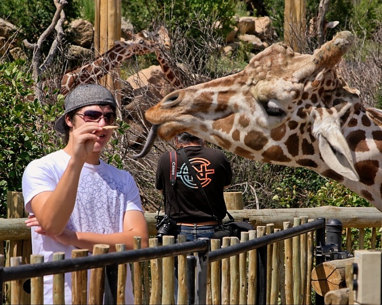 Cheyenne-Mtn-Zoo