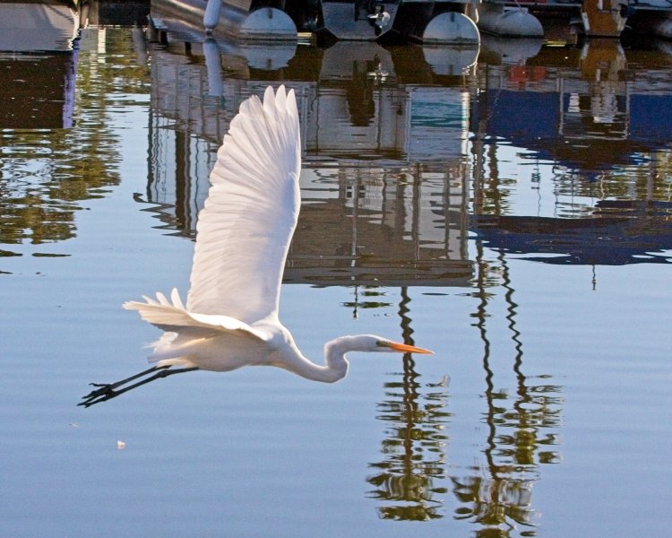 LAKE SAN MARCOS