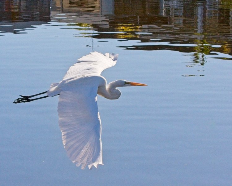 LAKE SAN MARCOS