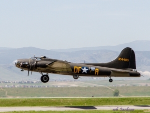 B 17