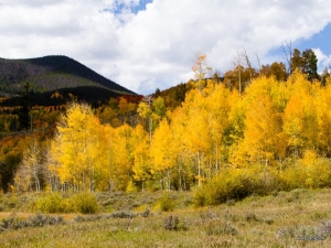 COLORADO COLOR