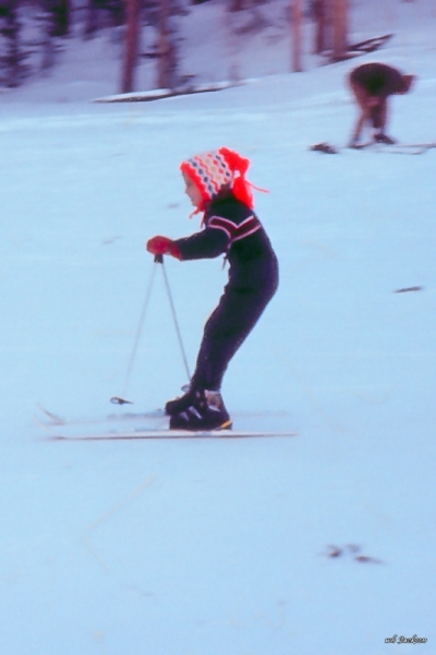 TRACY AT LAKE ELDORA