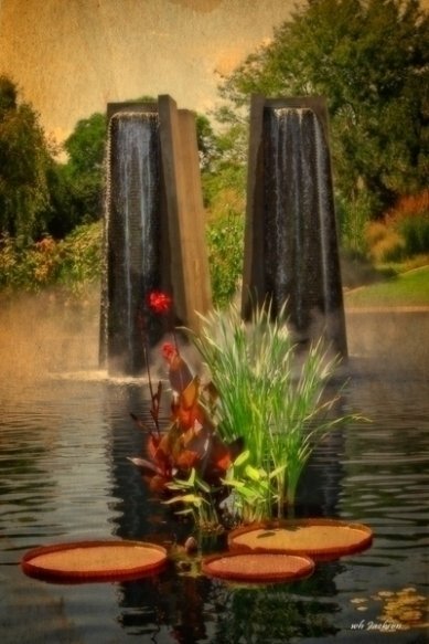 DENVER BOTANICAL GARDENS