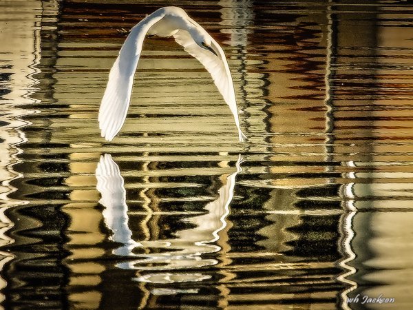 EGRET