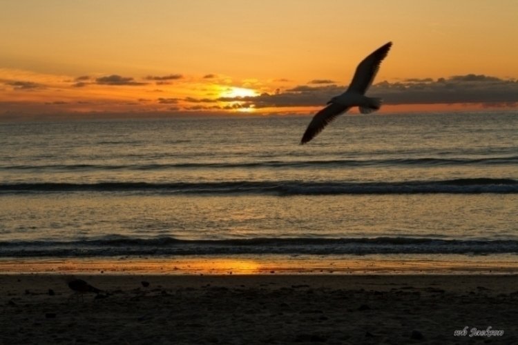 LA JOLLA SHORES SUNSET