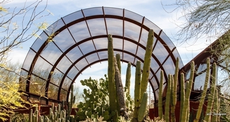 PHOENIX BOTANICAL GARDEN