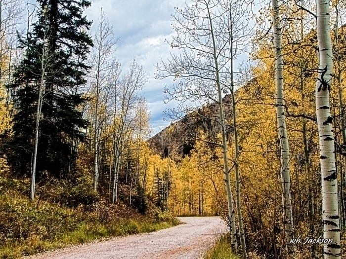 ROAD TO PINEY LAKE