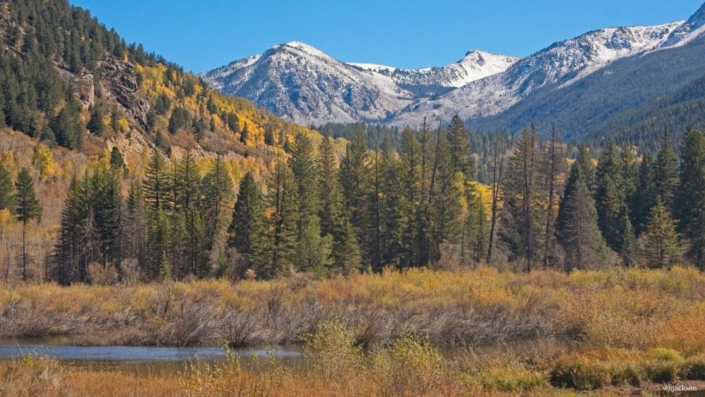 ASPEN-AREA