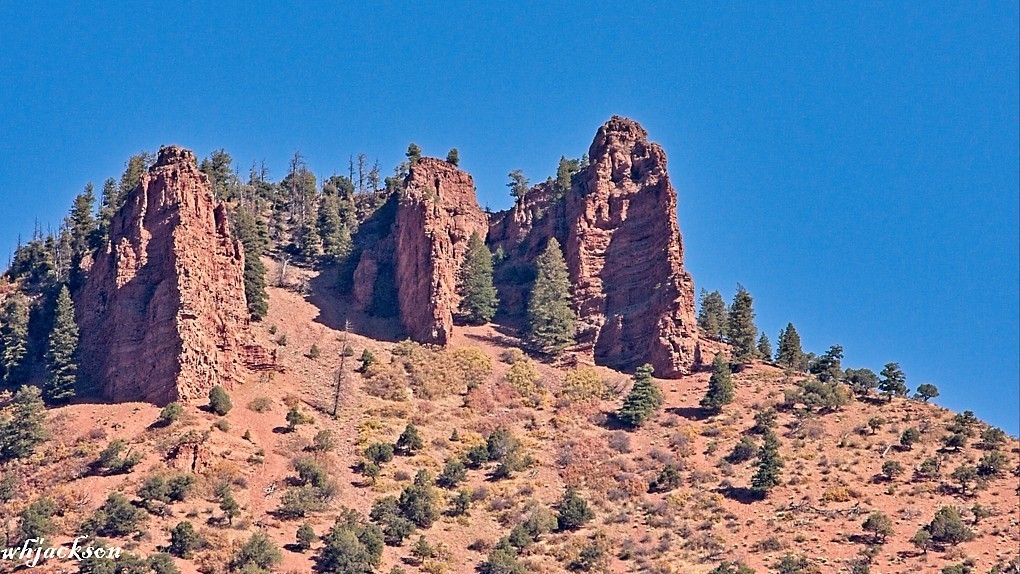 Near-Aspen-020