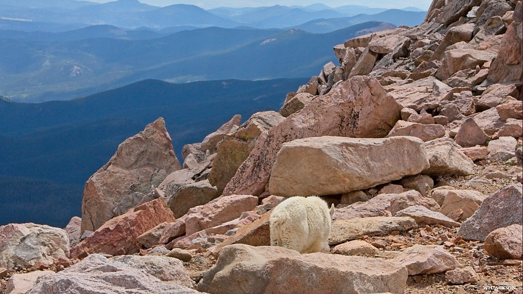 MT-EVANS-BLUE-SKY-7