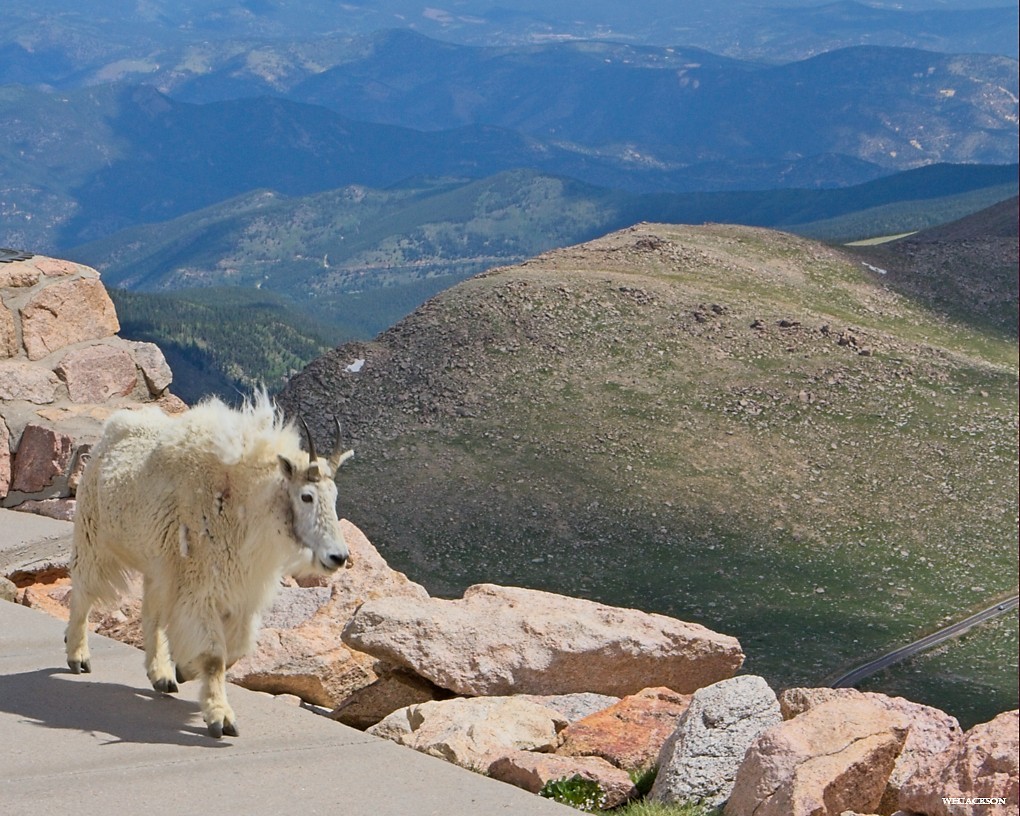 MT-EVANS-BLUE-SKY-8