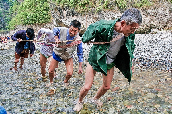 SHENNONG STREAM