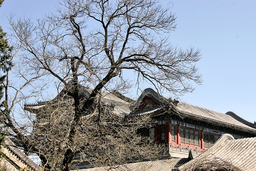 SUMMER-PALACE-025