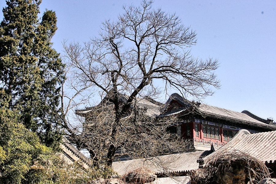 SUMMER-PALACE-026