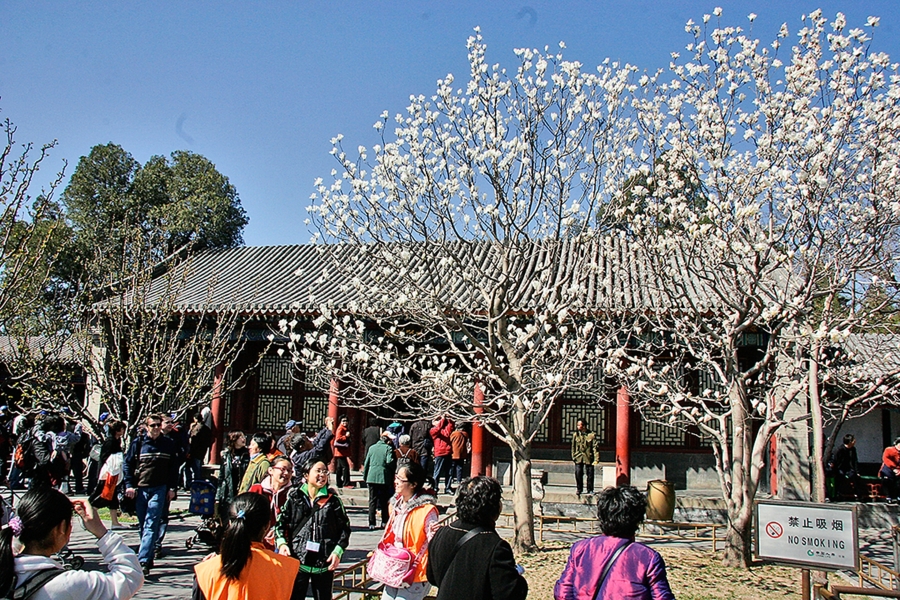 SUMMER-PALACE-036