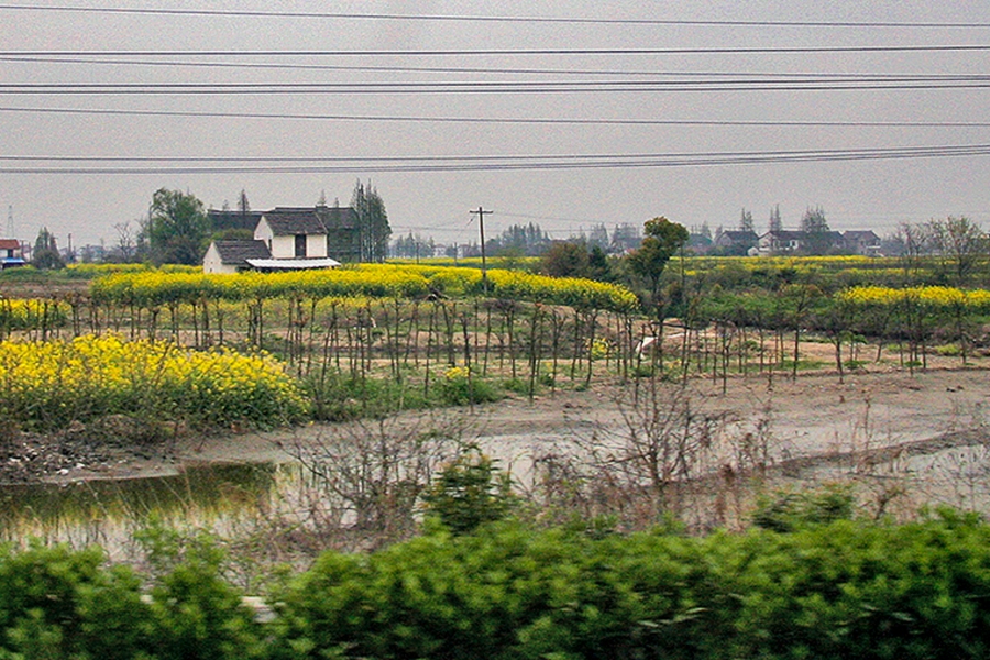 TRAIN-RIDE