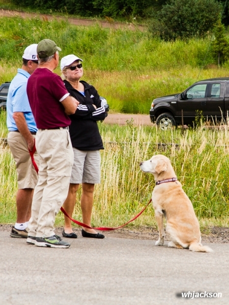 US PRO CHALLENGE - 2015
